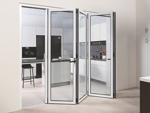 Folding Door